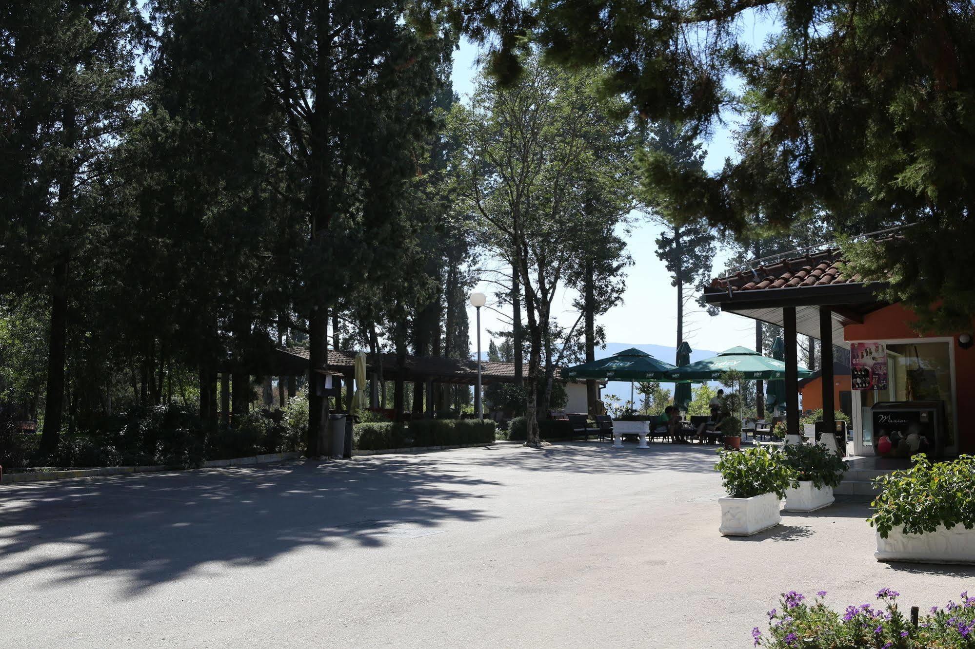 Hotel Park Visici ภายนอก รูปภาพ
